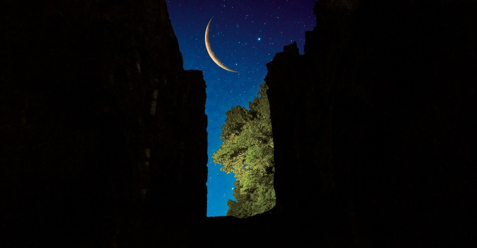 Slide DEL Diffusion La Belle & La Bête